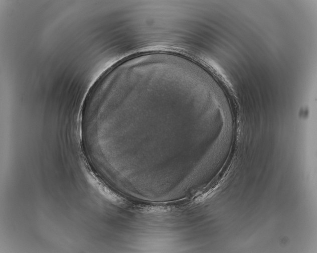 X0000089960892200707271859