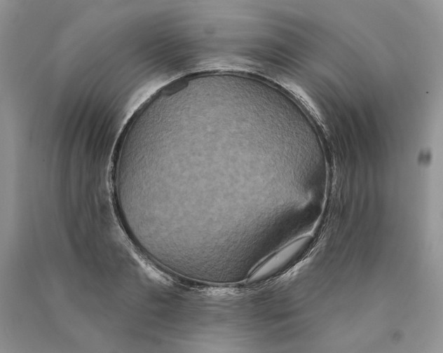 X0000089960893200707271859