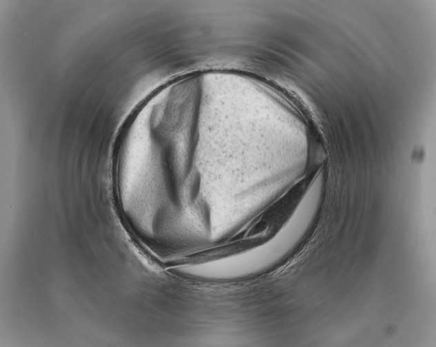 X0000089960894200707271859