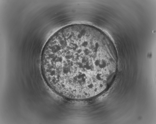 X0000089960895200707271859