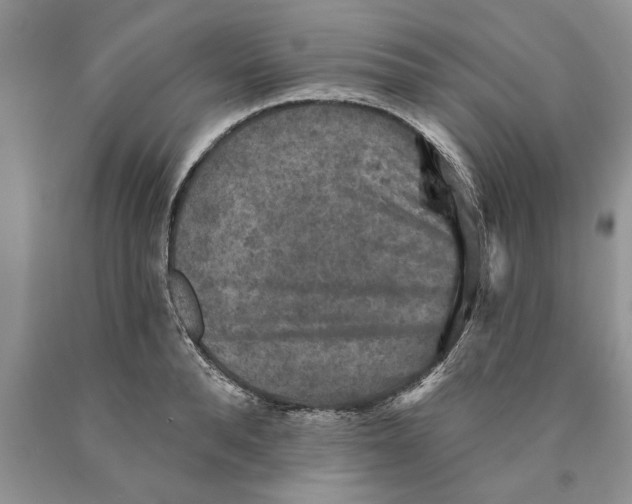 X0000089960896200707271859