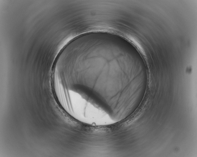 X0000089960899200707271859