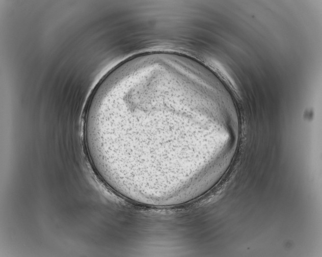 X0000089960900200707271859