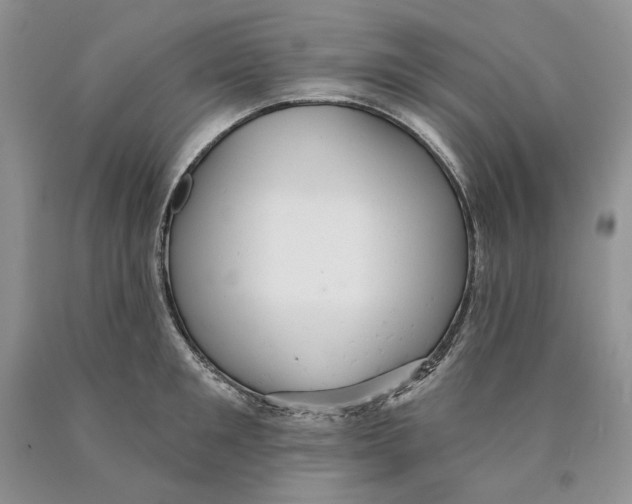 X0000089960901200707271859