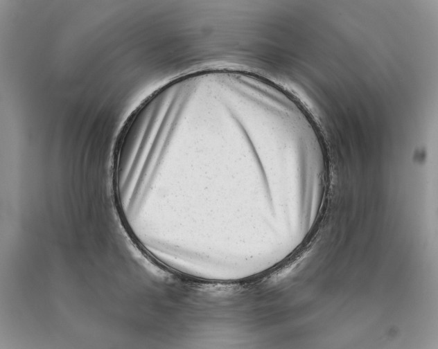 X0000089960902200707271859