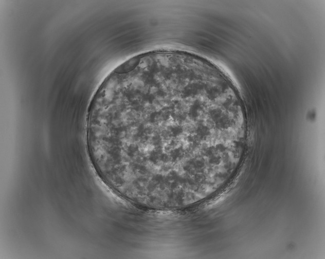 X0000089960903200707271859