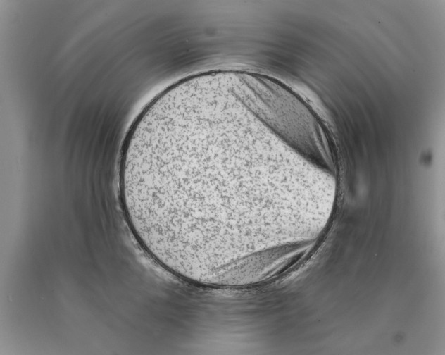 X0000089960904200707271859