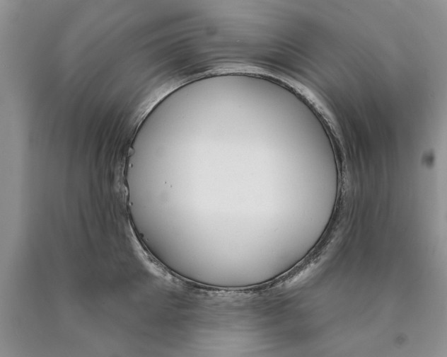 X0000089960905200707271859