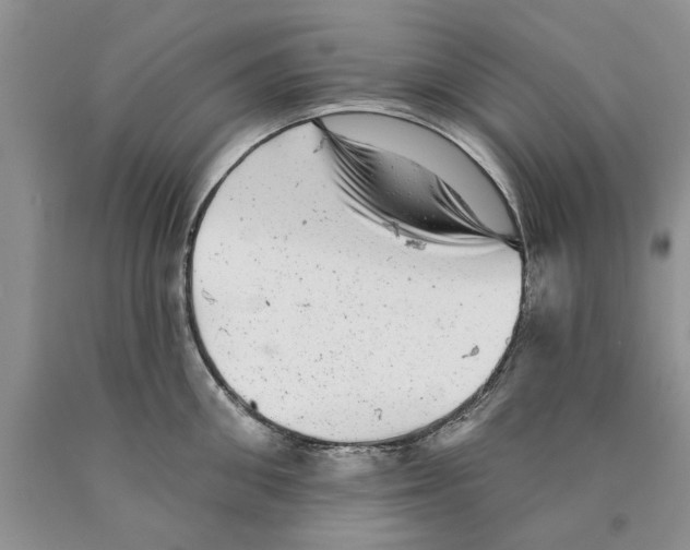 X0000089960906200707271858