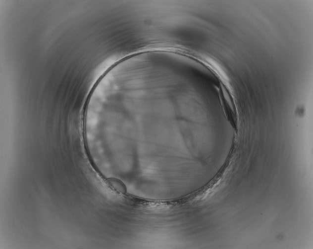 X0000089960907200707271858