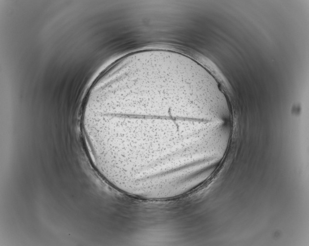 X0000089960908200707271858