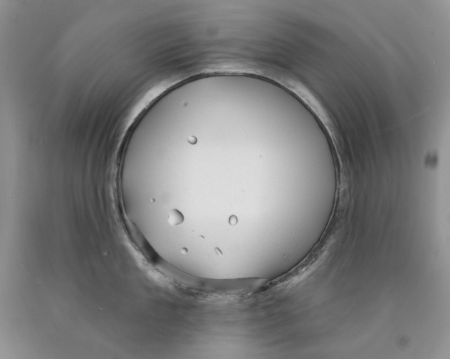 X0000089960909200707271858