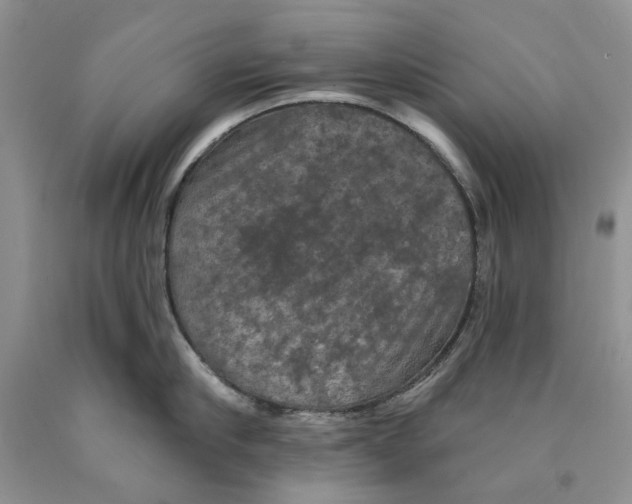 X0000089960910200707271858