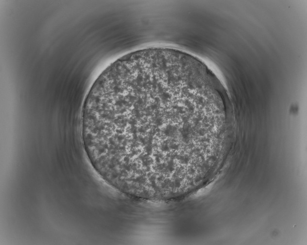 X0000089960911200707271858