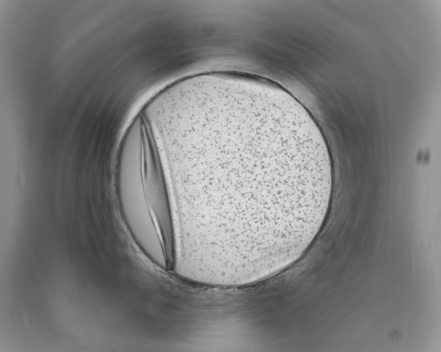 X0000089960912200707271858