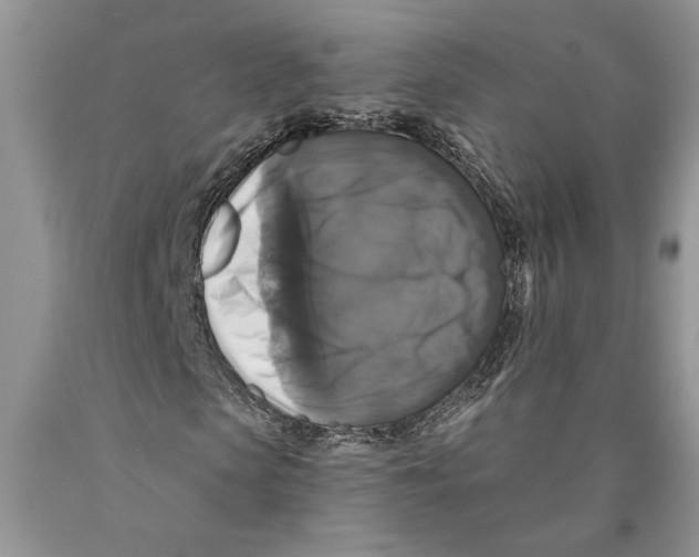 X0000089960913200707271858