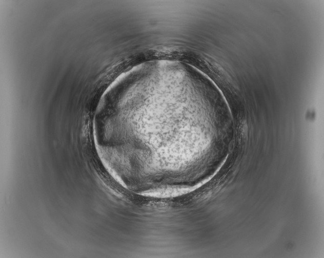 X0000089960914200707271858