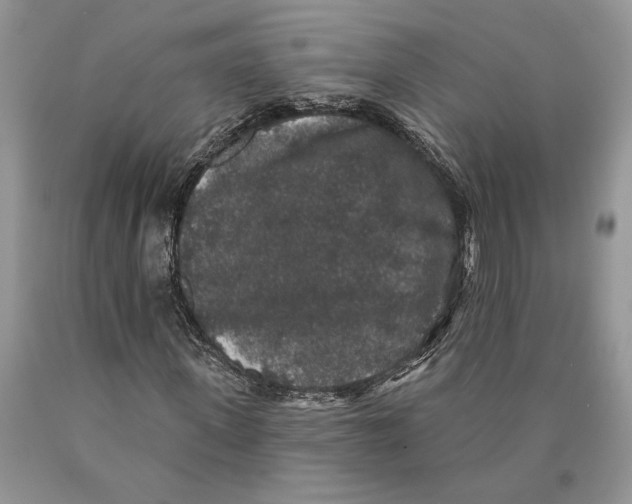 X0000089960915200707271858