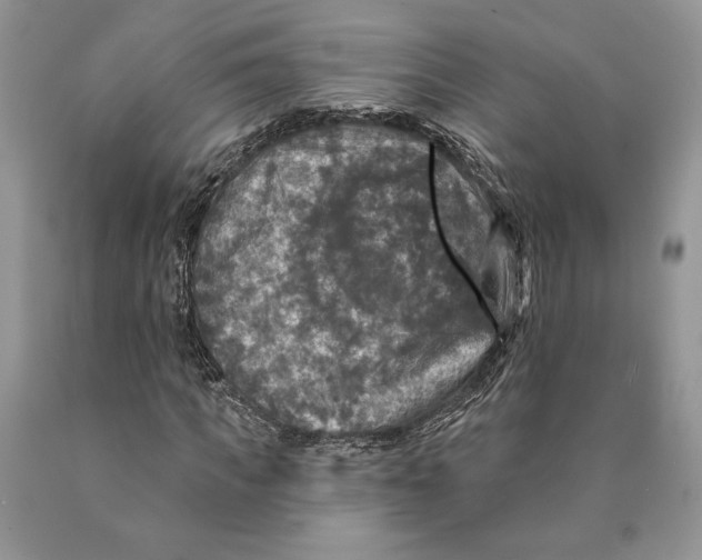 X0000089960917200707271858