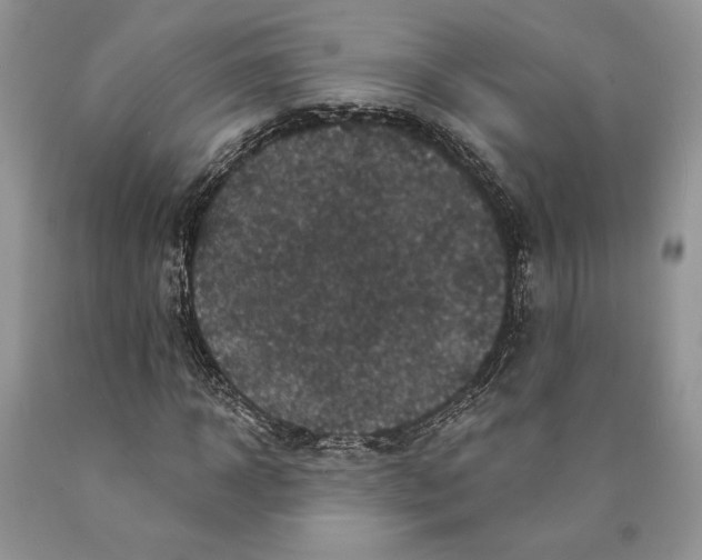 X0000089960918200707271858