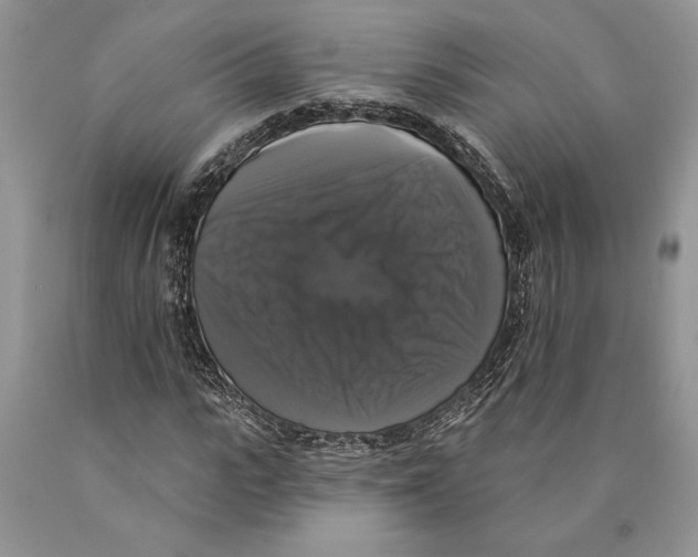 X0000089960919200707271858