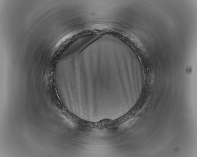 X0000089960920200707271858