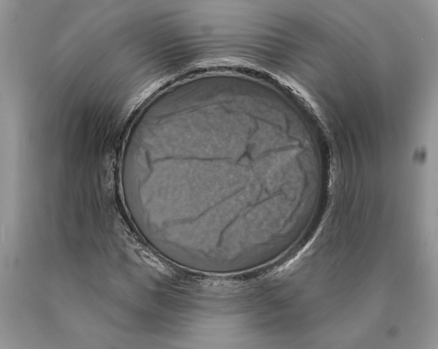 X0000089960921200707271858