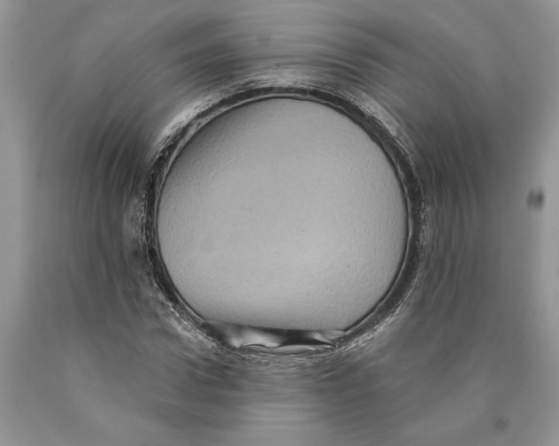 X0000089960922200707271858