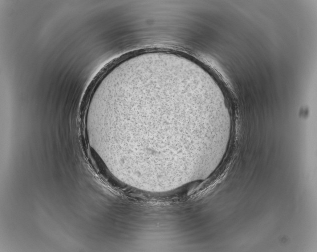 X0000089960924200707271858