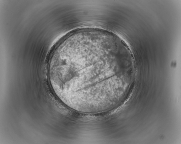 X0000089960925200707271858