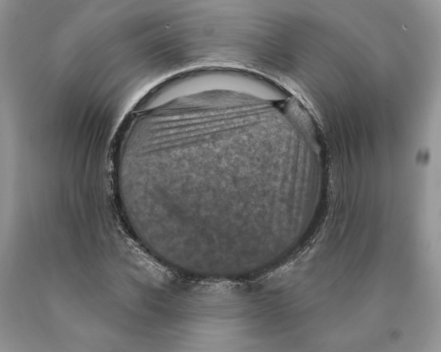 X0000089960926200707271858