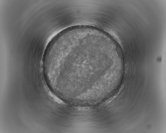 X0000089960928200707271858