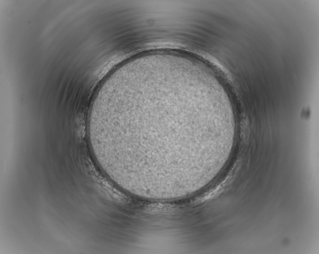 X0000089960929200707271858