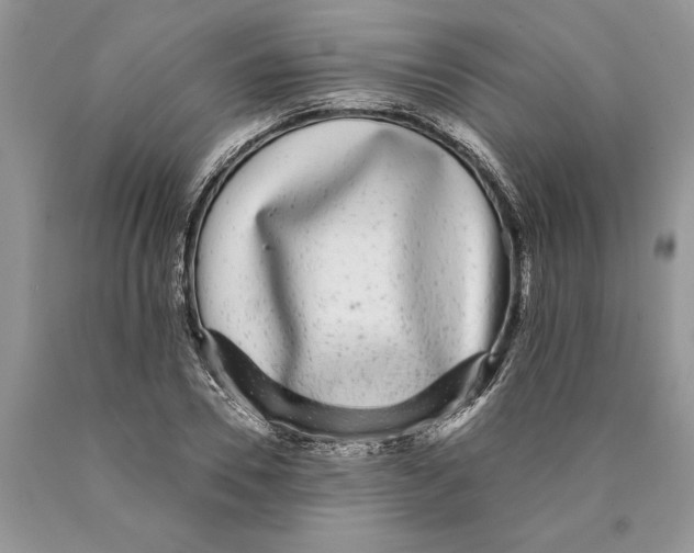 X0000089960930200707271858