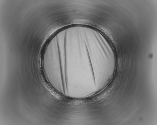 X0000089960931200707271858