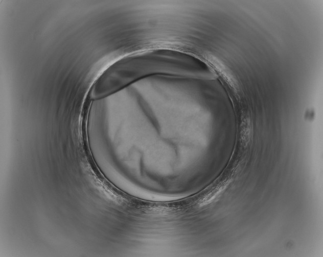 X0000089960932200707271858