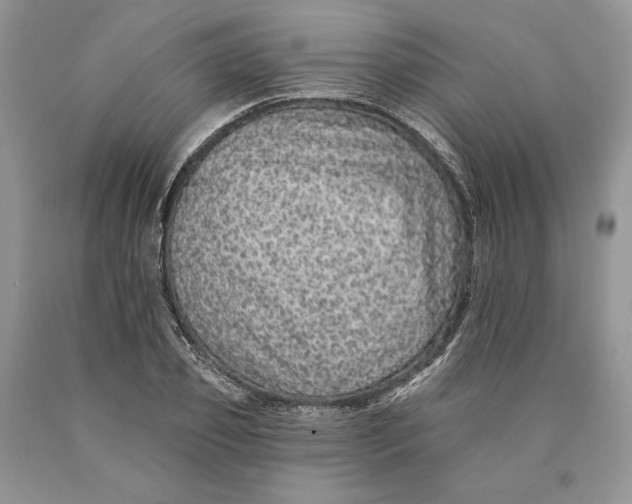 X0000089960933200707271858