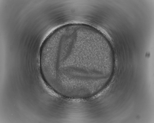 X0000089960934200707271858