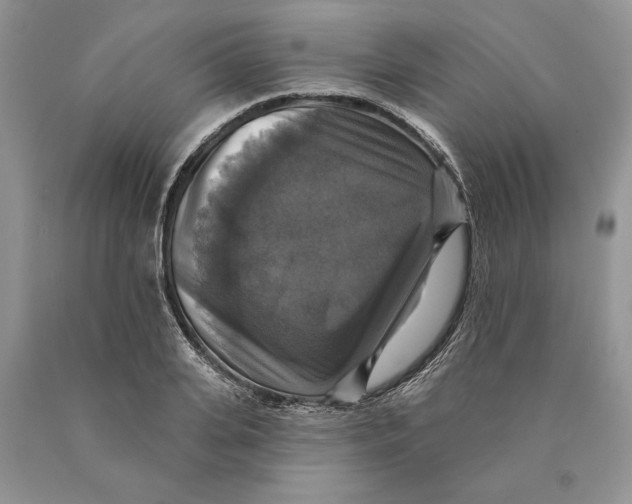 X0000089960935200707271858