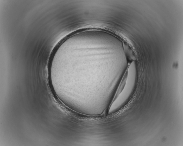 X0000089960936200707271858