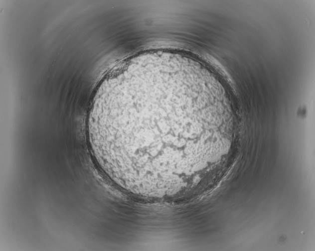 X0000089960937200707271858