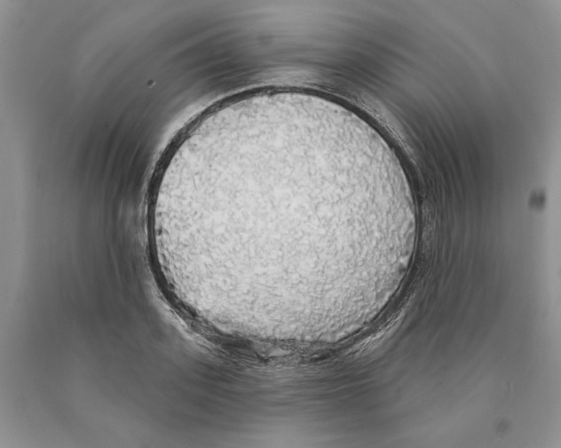 X0000089960939200707271858