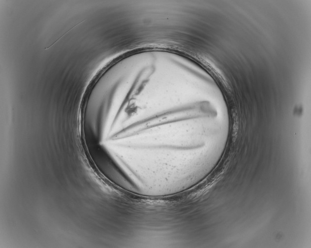 X0000089960940200707271858