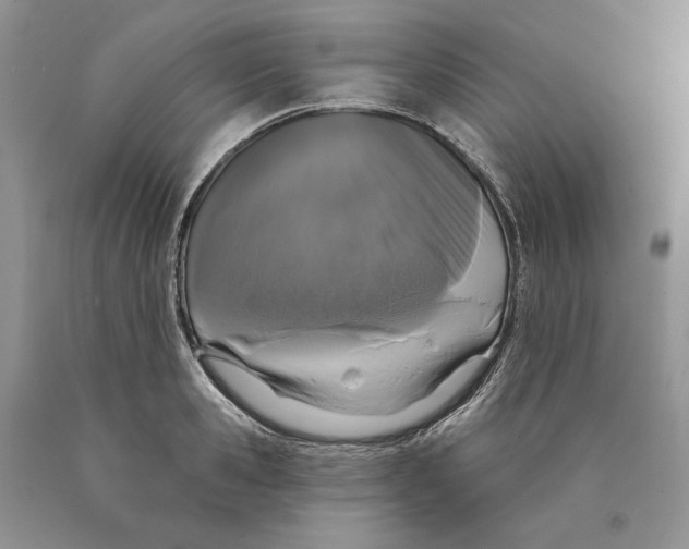 X0000089960941200707271858