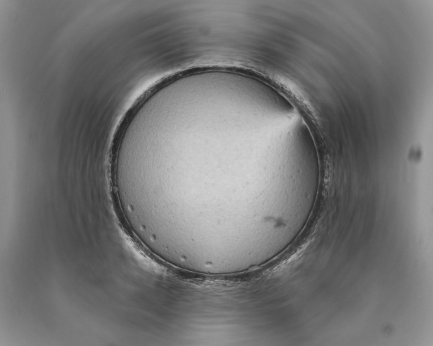 X0000089960942200707271858