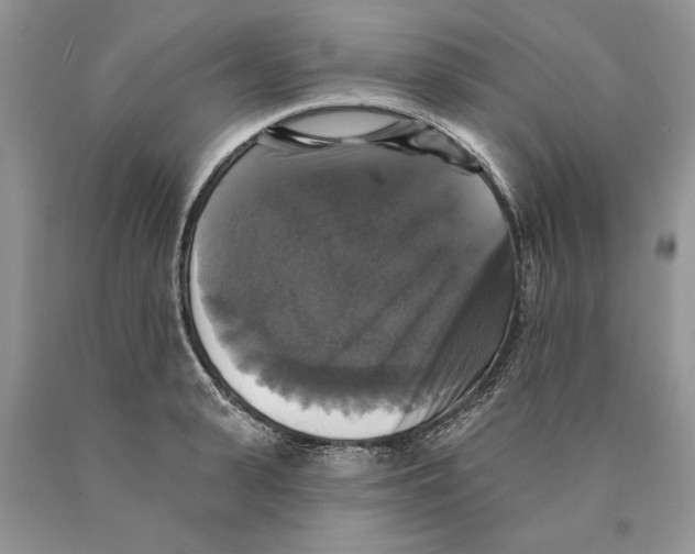 X0000089960943200707271858