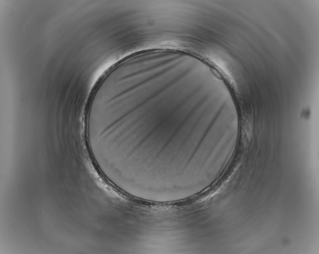 X0000089960944200707271858