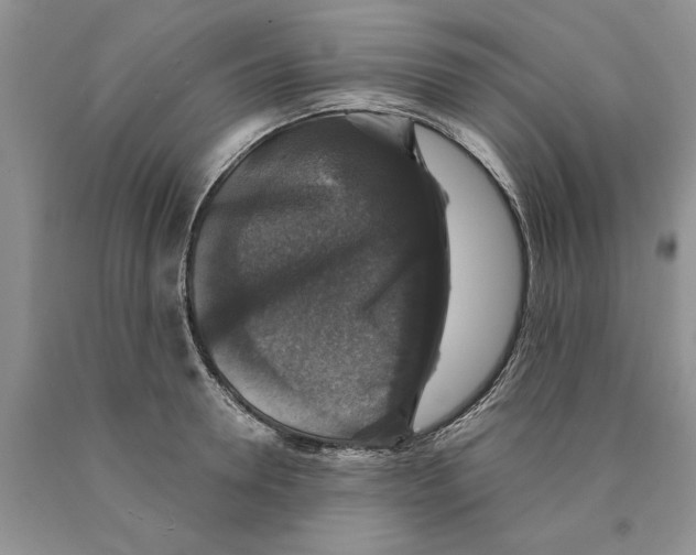 X0000089960946200707271858