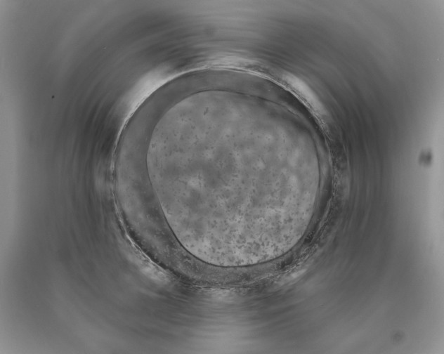 X0000089960948200707271858