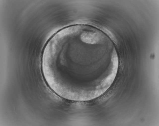 X0000089960950200707271858